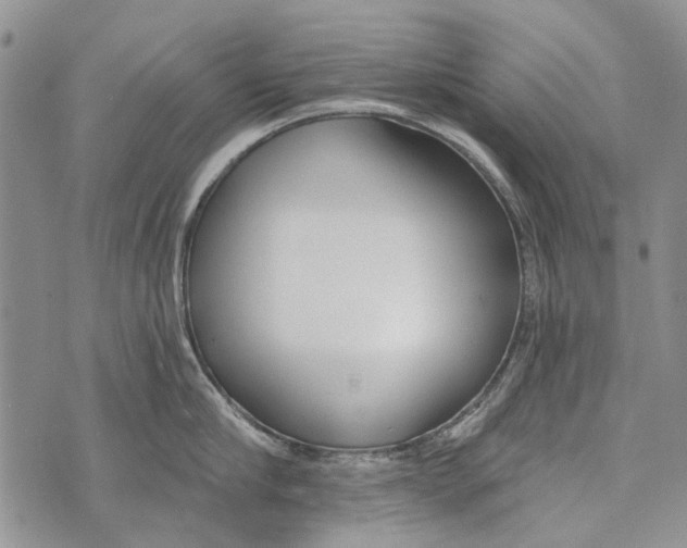 X0000073710910200608311751