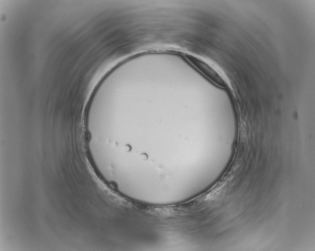 X0000073710911200608311751