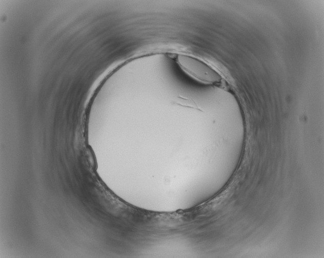 X0000073710912200608311751