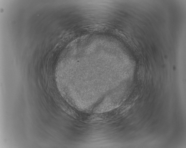 X0000073710913200608311750