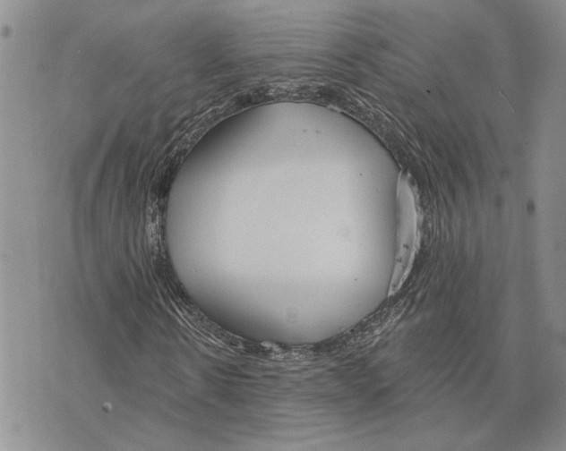 X0000073710914200608311750