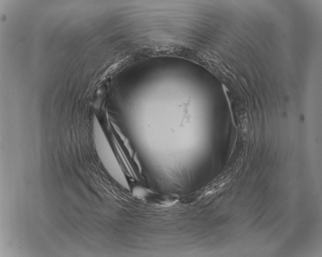 X0000073710916200608311751