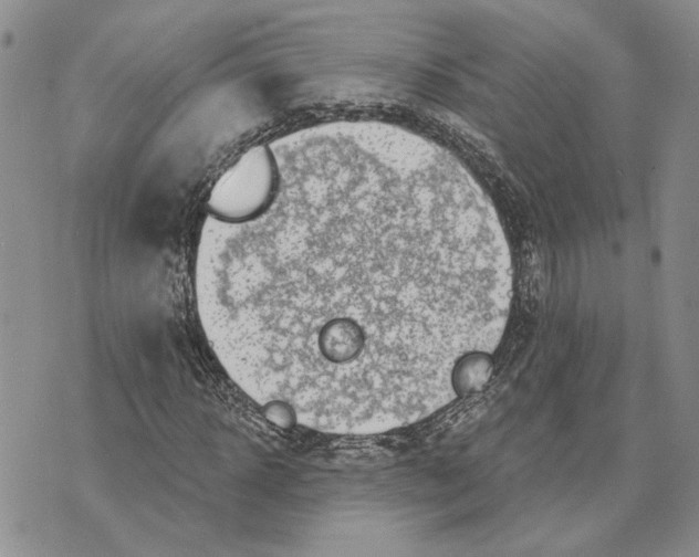 X0000073710918200608311751