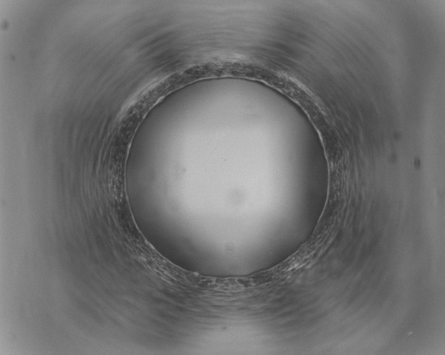 X0000073710919200608311751