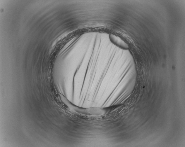 X0000073710920200608311751