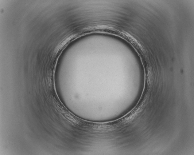 X0000073710921200608311751