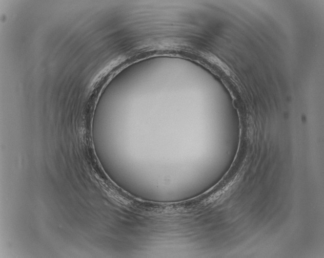 X0000073710922200608311751