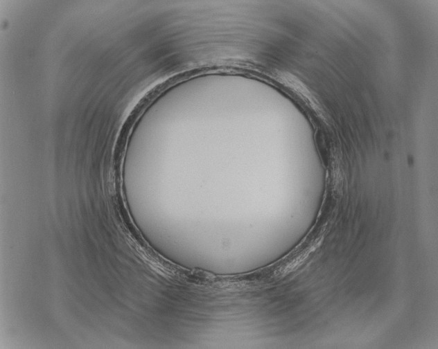 X0000073710924200608311751