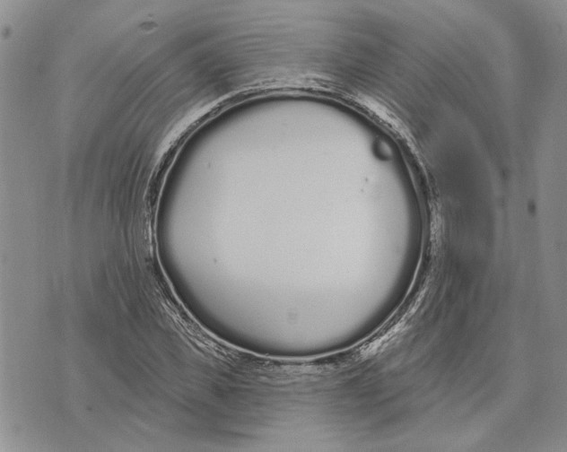 X0000073710925200608311751