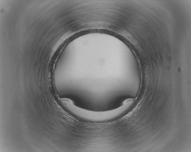 X0000073710926200608311751