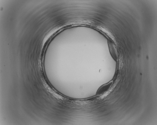 X0000073710928200608311751