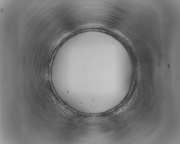 X0000073710929200608311751