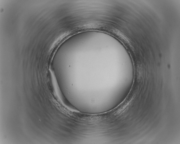 X0000073710930200608311751