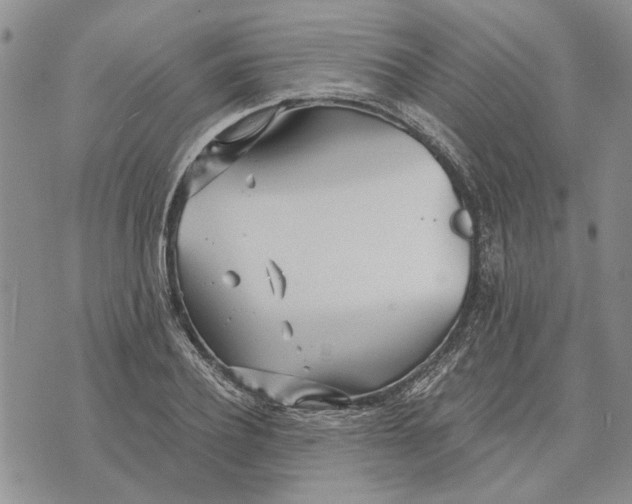 X0000073710932200608311751