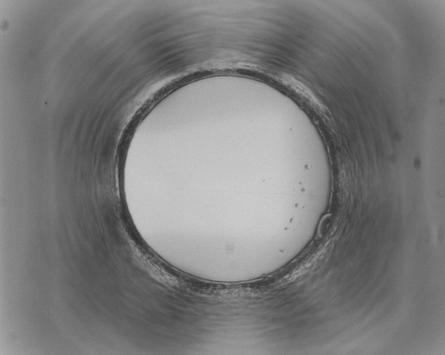 X0000073710934200608311751