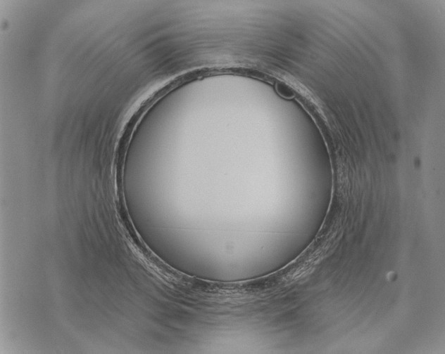 X0000073710935200608311751