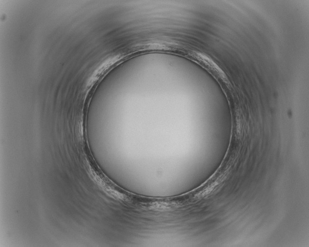 X0000073710938200608311751