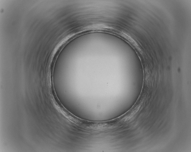 X0000073710939200608311751