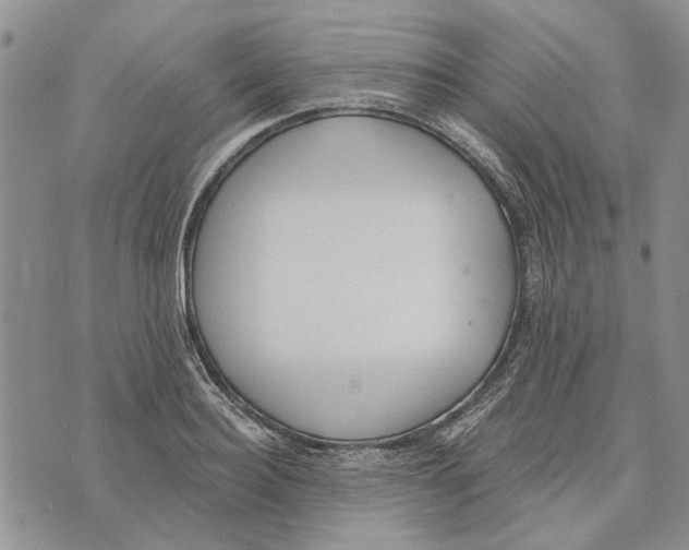 X0000073710940200608311751