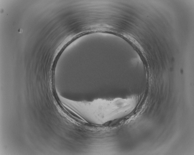 X0000073710941200608311751