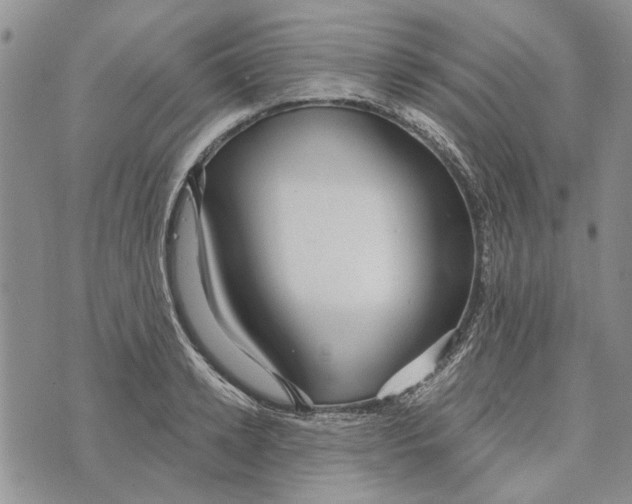 X0000073710942200608311751