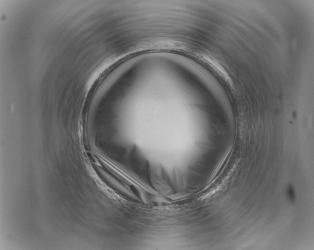 X0000073710944200608311751