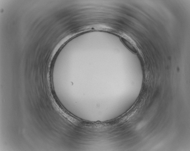 X0000073710947200608311751