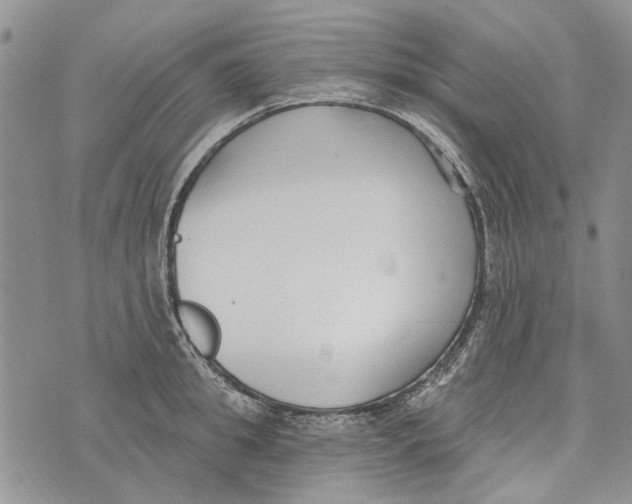 X0000073710949200608311751