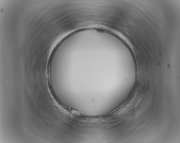 X0000073710951200608311751