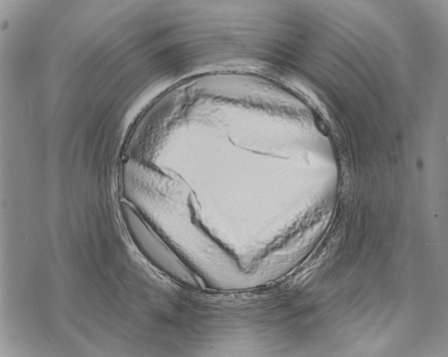 X0000073710952200608311751