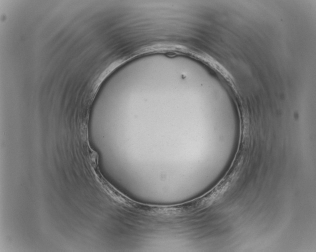 X0000073710953200608311751