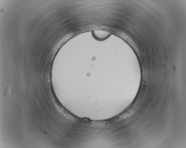 X0000073710954200608311751