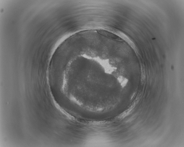 X0000073710958200608311751