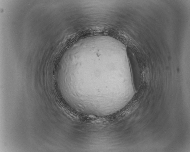 X0000073710961200608311750