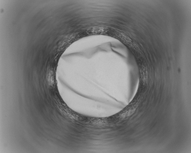 X0000073710962200608311750