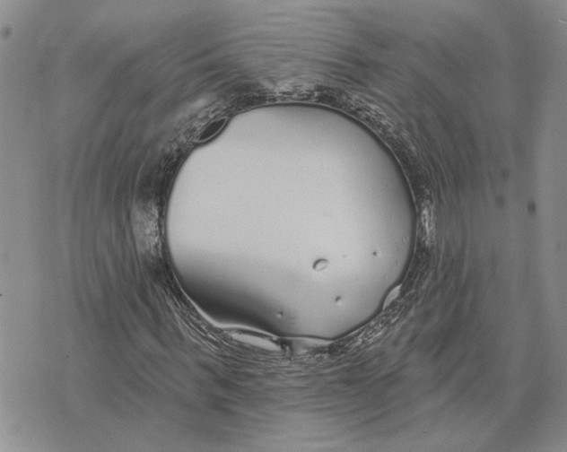 X0000073710963200608311750