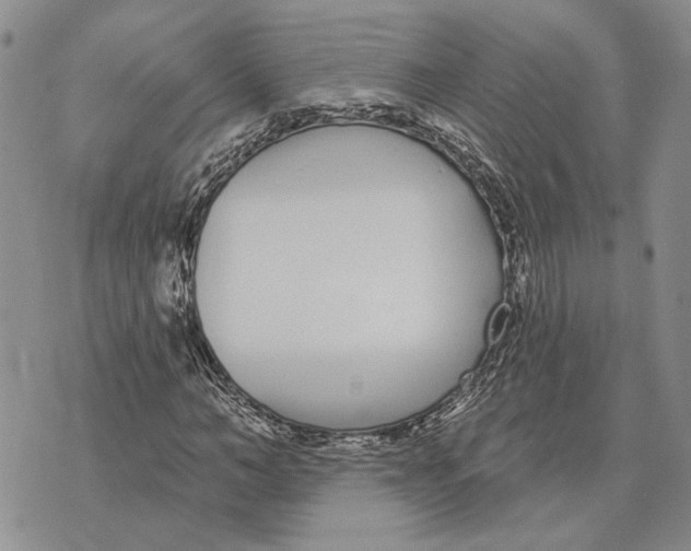 X0000073710966200608311750