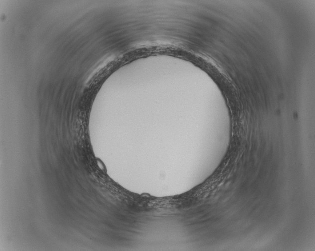 X0000073710967200608311750