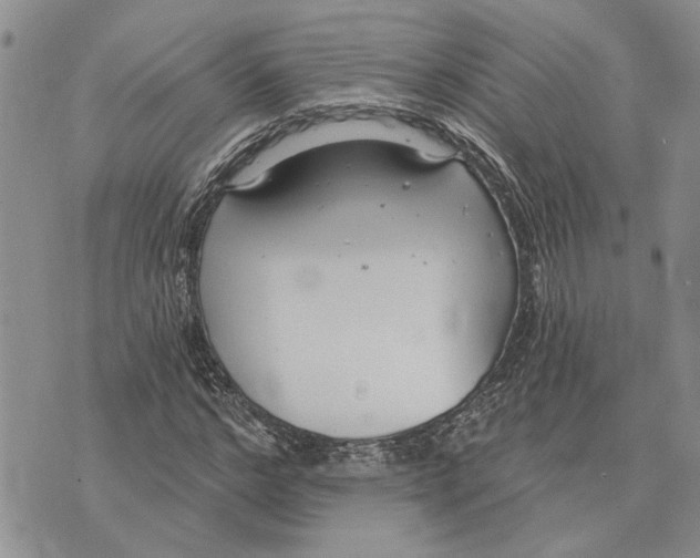 X0000073710968200608311750