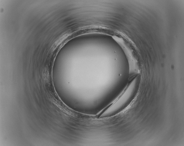 X0000073710969200608311750