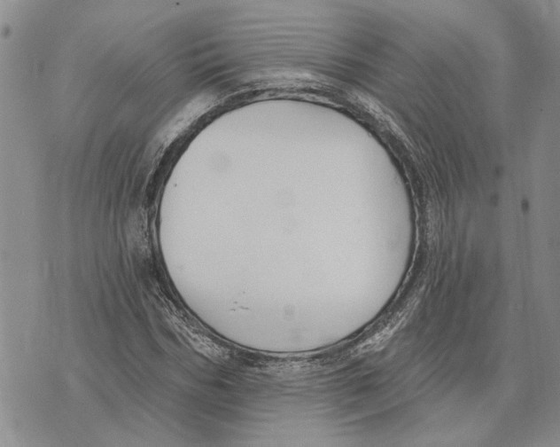 X0000073710970200608311750