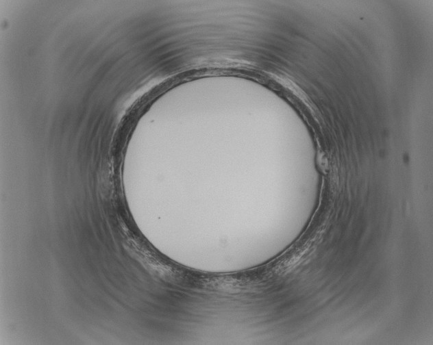 X0000073710971200608311750