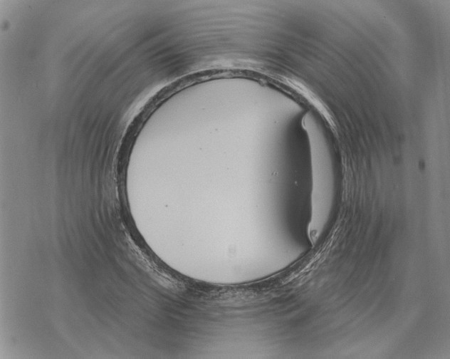 X0000073710972200608311750