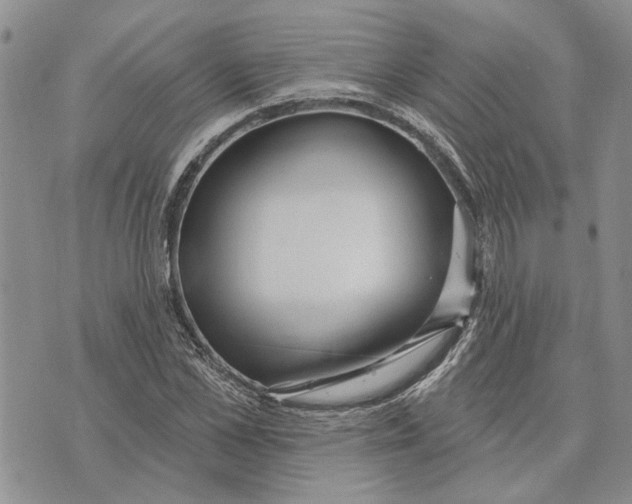 X0000073710973200608311750