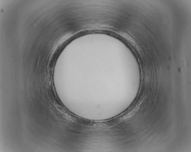 X0000073710974200608311750