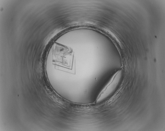 X0000073710975200608311750