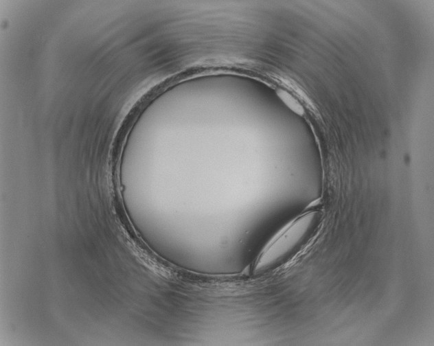 X0000073710976200608311750