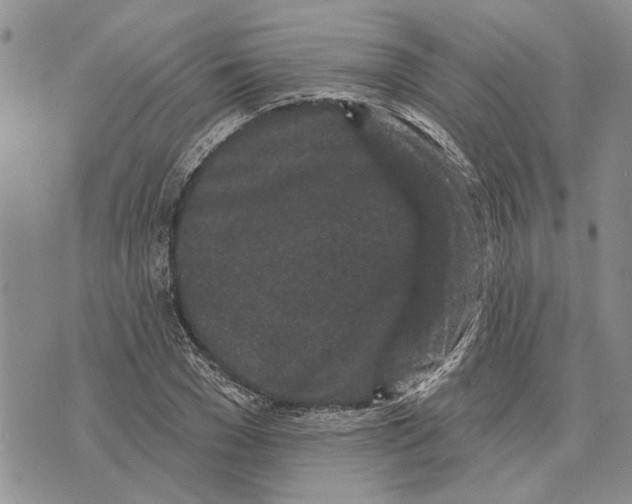 X0000073710977200608311750