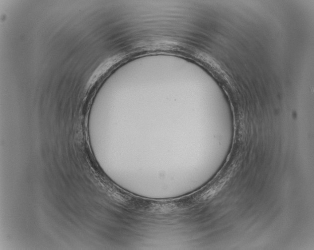 X0000073710978200608311750