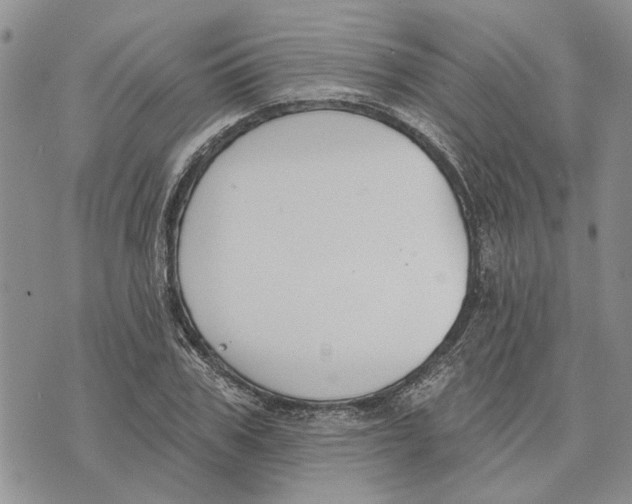 X0000073710979200608311750